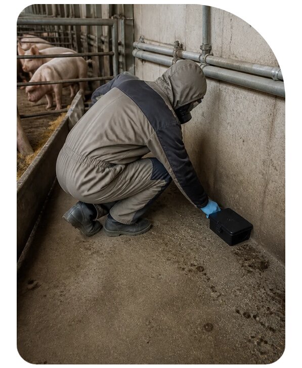 Дератизация фермы в Азове — профессионально от 15404 р. | Сенат-Азв
